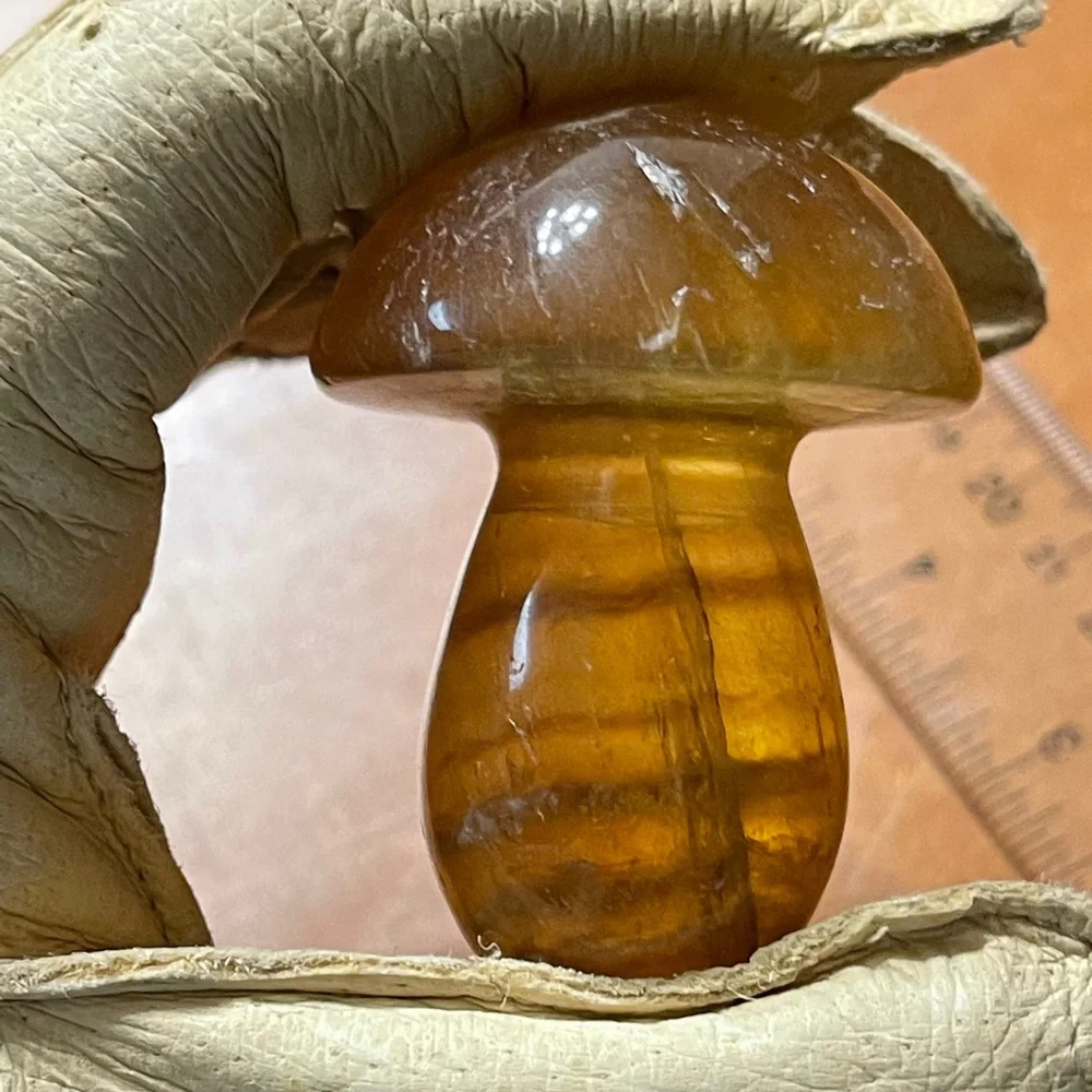 Fluorite Mushroom 🍄HP🍄💛 - Picture 8 of 17